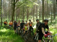 In the Wyre Forest