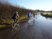 Bobbington Lanes
